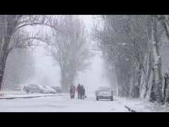 ইনফ্রারেড এবং নেগেটিভ আইওন ফাংশন সহ ওজনযুক্ত কাঁধ এবং ঘাড় গরম করার প্যাড